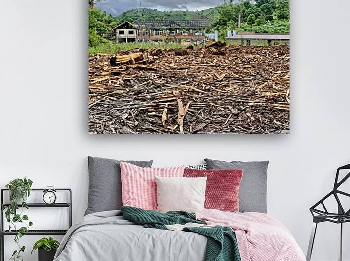 Fading Wood by Jimmy Roy Photos