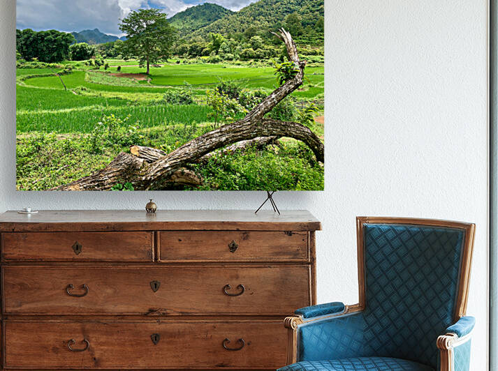 Beautiful Green Scenery by Jimmy Roy Photos