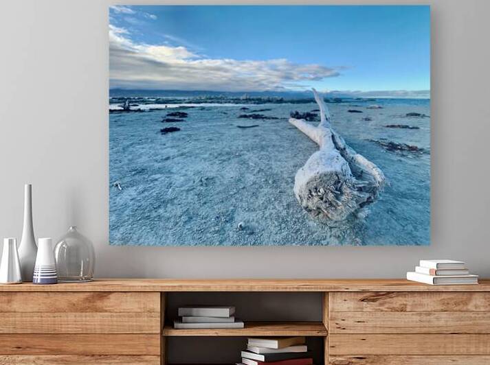 Broken Wood Perspective by Jimmy Roy Photos