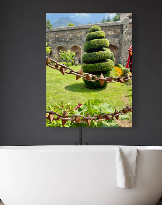 Spiral Tree by Jimmy Roy Photos