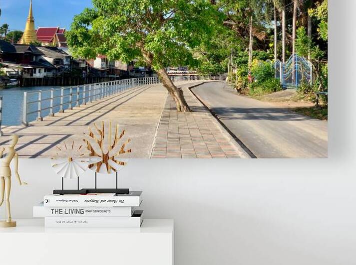 Tree Way Separation by Jimmy Roy Photos