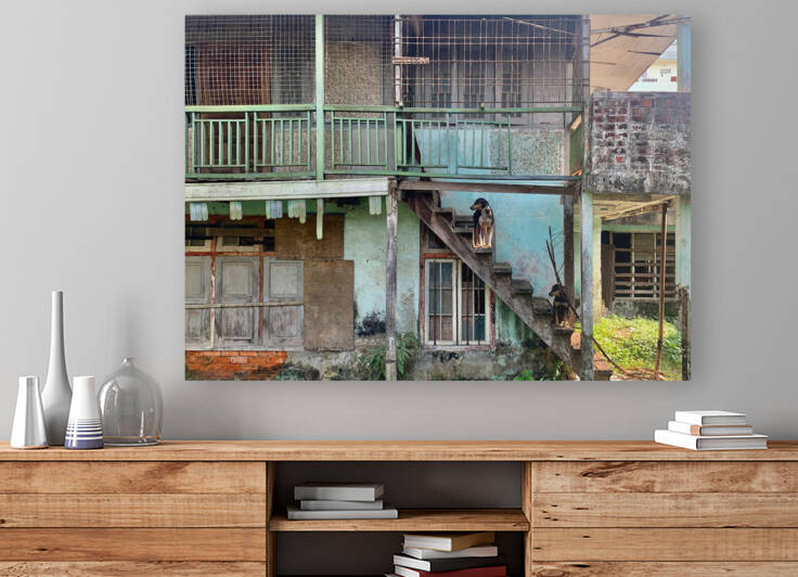 Dogs Looking Right by Jimmy Roy Photos