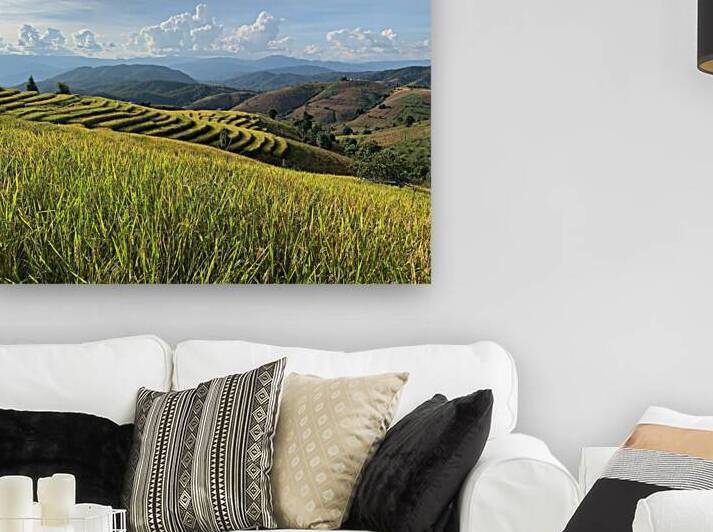 Beautiful Rice Field by Jimmy Roy Photos