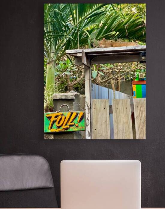 Full House Kitty Cat by Jimmy Roy Photos