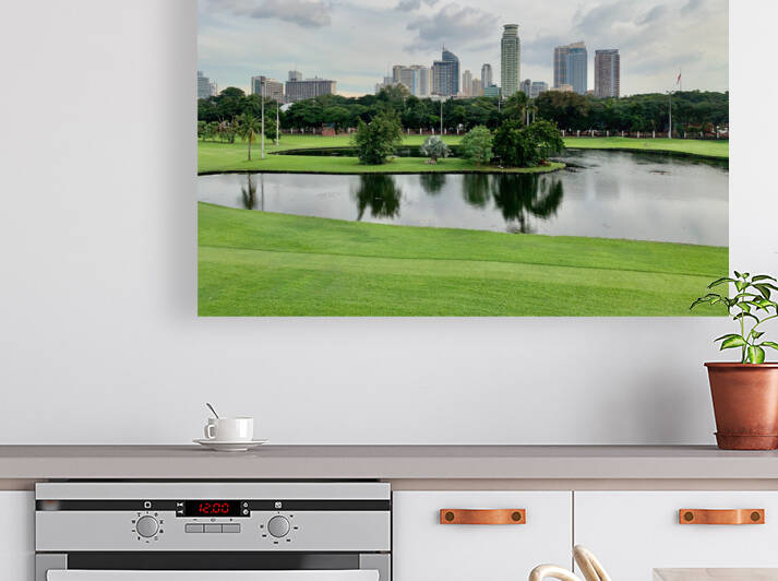 City Park  Lake Manila by Jimmy Roy Photos