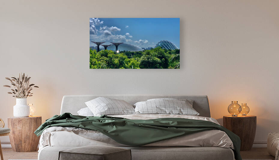 Gardens by the Bay Singapore 1 by Jimmy Roy Photos