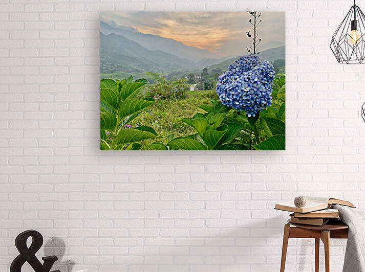 Purple Flowers for Sunset 2 by Jimmy Roy Photos