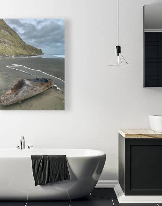 Nice Log on Black Sand by Jimmy Roy Photos