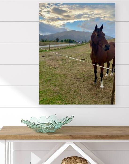 Horse by the Mountains by Jimmy Roy Photos