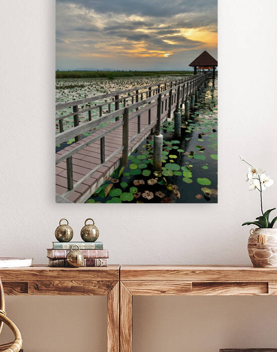 Follow to the Gazebo by Jimmy Roy Photos