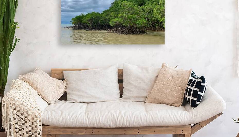 Mangroves by Jimmy Roy Photos