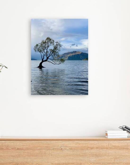 The Wanaka Tree New Zealand 2 by Jimmy Roy Photos