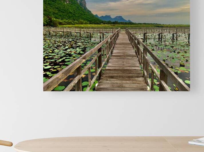 Wooden Walkway by Jimmy Roy Photos