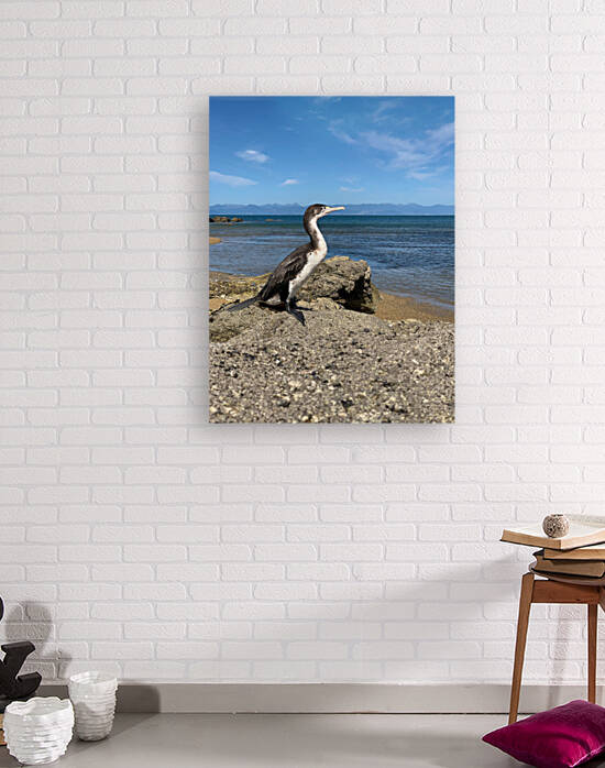 Bird Looking Straight Ahead by Jimmy Roy Photos