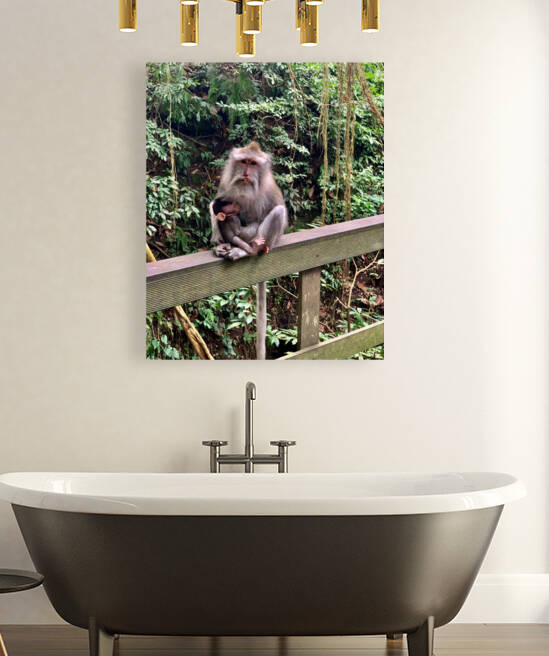 Mama Monkey by Jimmy Roy Photos