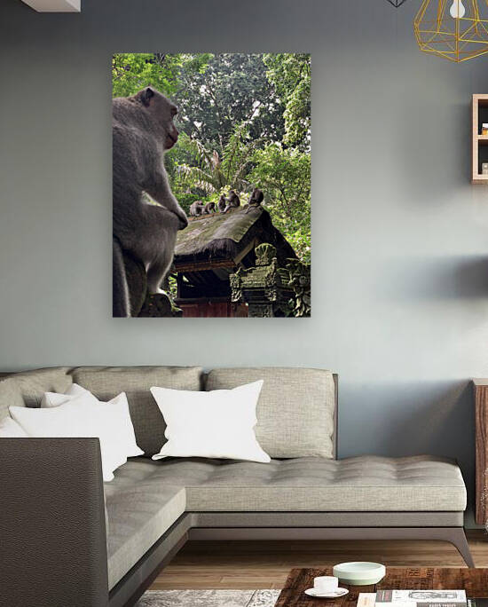 Monkeys on the Roof by Jimmy Roy Photos