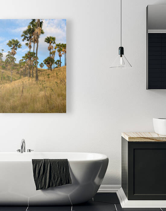 Palm Trees on the Hills by Jimmy Roy Photos