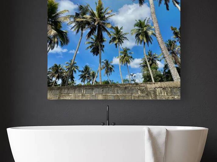 Palm Trees behind the Wall by Jimmy Roy Photos