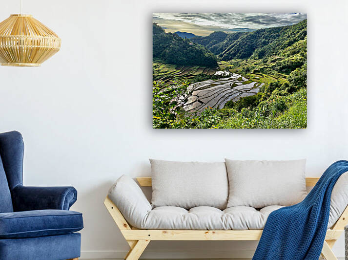 Nice Watery Rice Fields by Jimmy Roy Photos