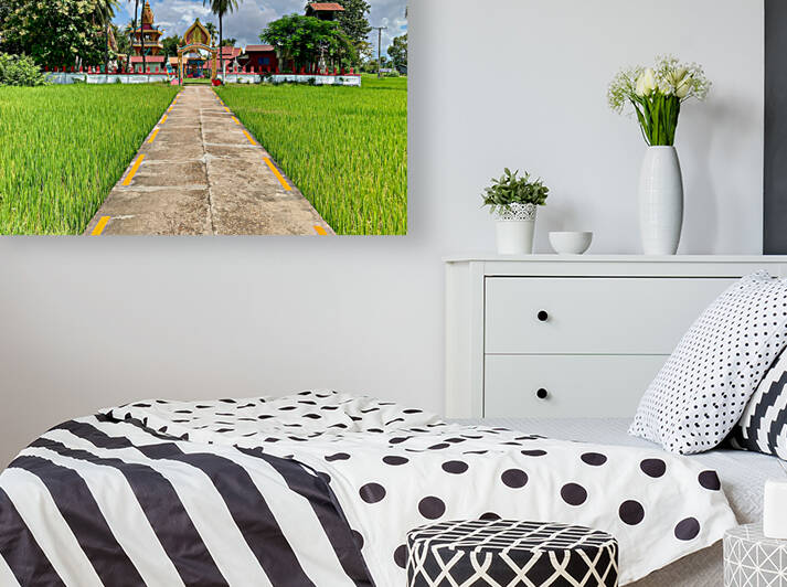 Don Khon Island Temple Laos by Jimmy Roy Photos