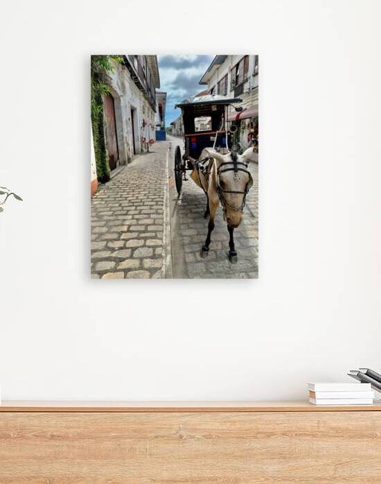 Horse Around Vigan Philippines by Jimmy Roy Photos