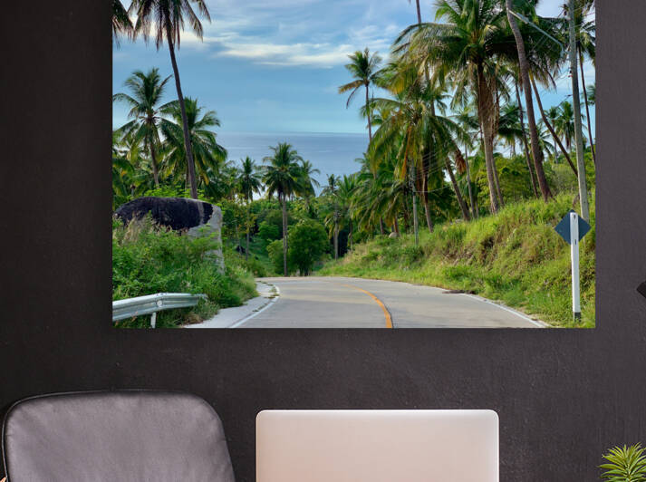 Palm Tree Road by Jimmy Roy Photos