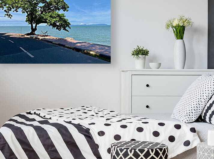 Tree in the Curve by Jimmy Roy Photos