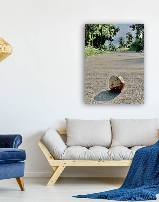 Coconut Shadow by Jimmy Roy Photos