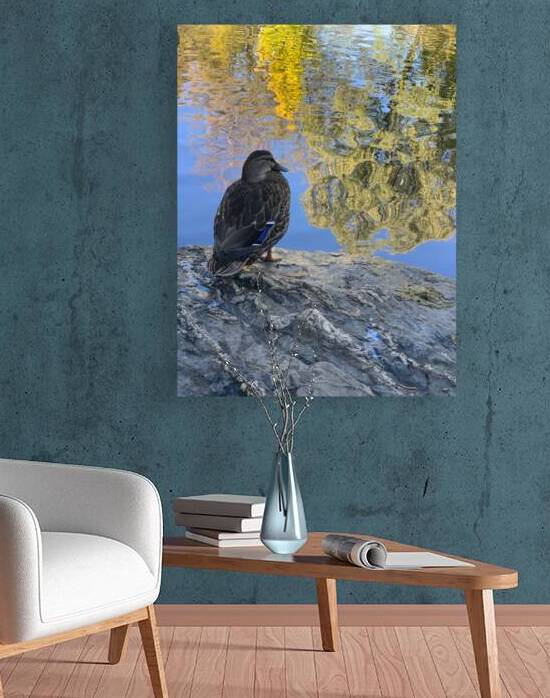 Duck like a Painting by Jimmy Roy Photos