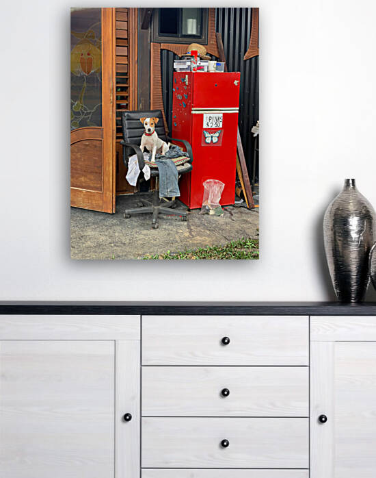 The Red Fridge and the Dog 2 by Jimmy Roy Photos
