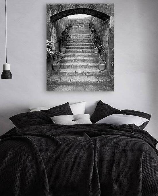 BW Stairs  Plants by Jimmy Roy Photos