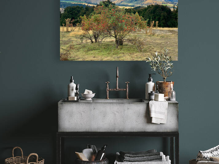 View From Mount Iron New Zealand After a Storm 6. by Jimmy Roy Photos