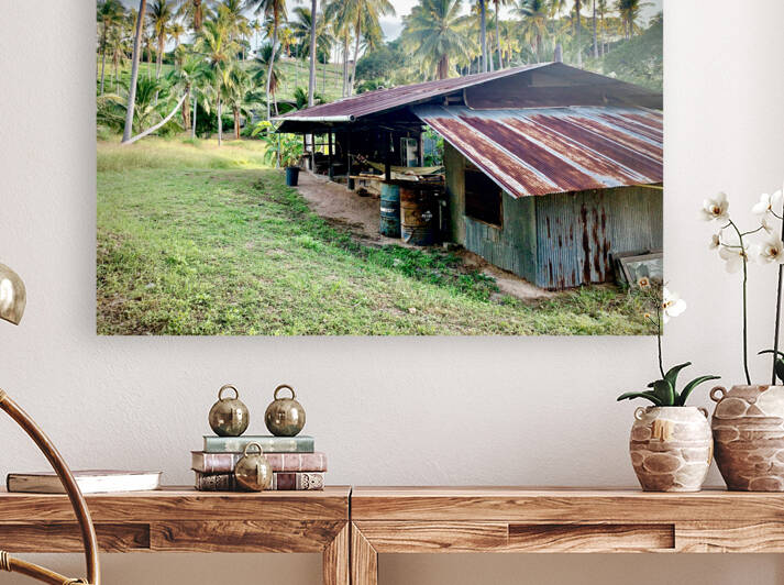 Big Rusty Shack Coconut by Jimmy Roy Photos