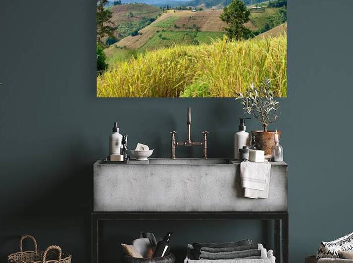 Amazing Landscape 3 by Jimmy Roy Photos