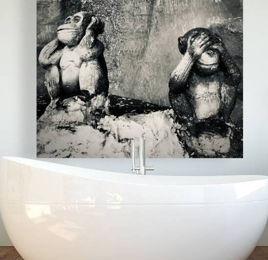 BW Didn t See it Didn t Hear it Monkeys by Jimmy Roy Photos