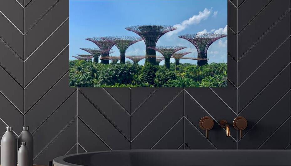 Gardens by the Bay Singapore by Jimmy Roy Photos