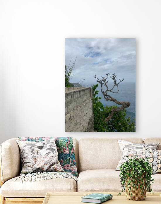 The Tree  The Wall by Jimmy Roy Photos