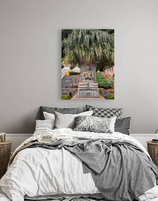 Buddha Under the Tree by Jimmy Roy Photos