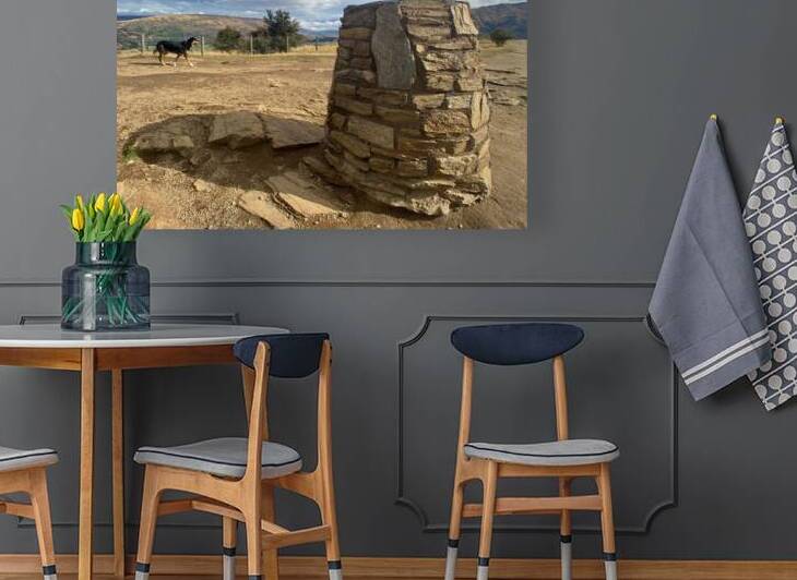 Dog on the Top of Mount Iron New Zealand by Jimmy Roy Photos