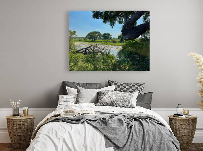 Yala National Park Sri Lanka 3 by Jimmy Roy Photos