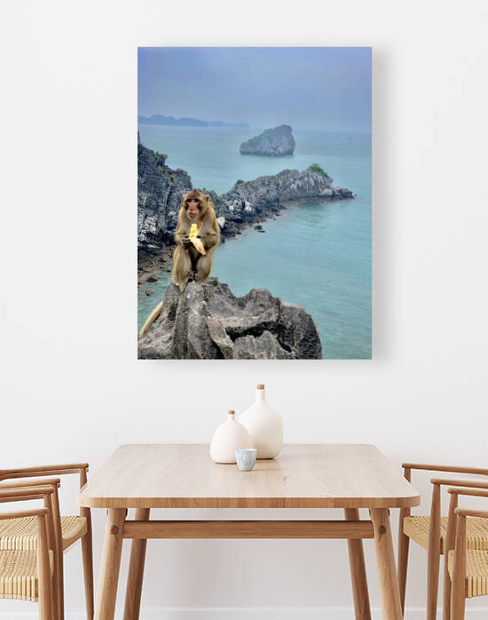 Monkey Eating a Banana by Jimmy Roy Photos