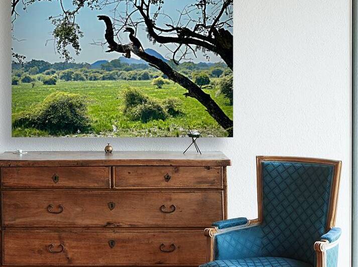 Yala National Park Sri Lanka 4 by Jimmy Roy Photos