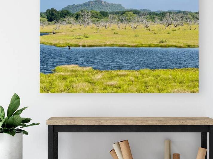 Yala National Park Sri Lanka by Jimmy Roy Photos