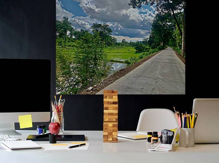 Riding by the Rice Fields by Jimmy Roy Photos