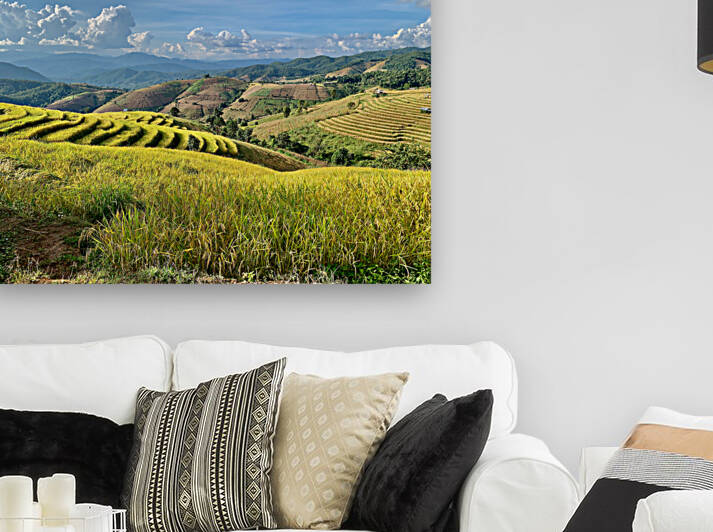 Amazing Rice Fields by Jimmy Roy Photos