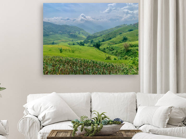 Rice Fields in Sapa 3 by Jimmy Roy Photos