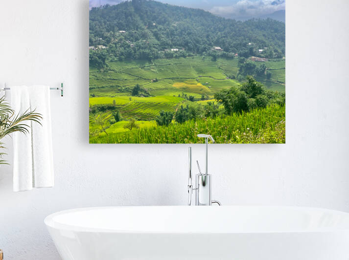 Rice Fields in Sapa 1 by Jimmy Roy Photos