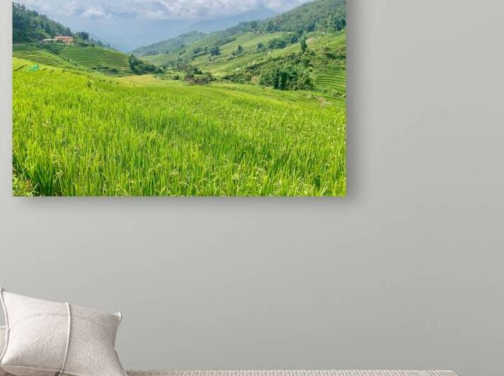 Rice Fields in Sapa 2 by Jimmy Roy Photos