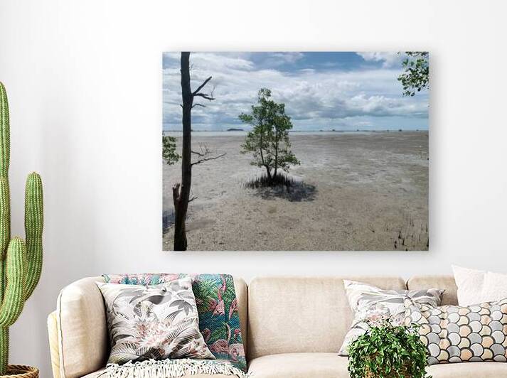 The Lonely Tree 2 by Jimmy Roy Photos