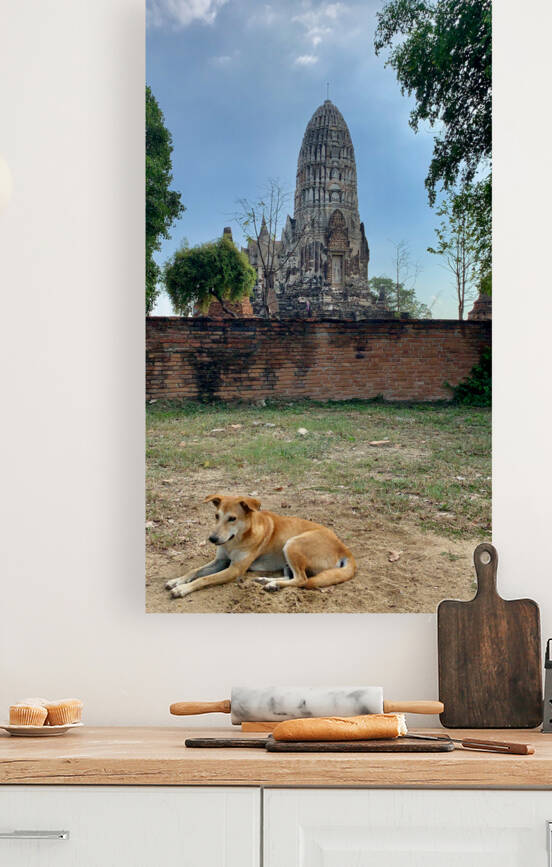 Ayutthaya Historical Park Temples 10 by Jimmy Roy Photos